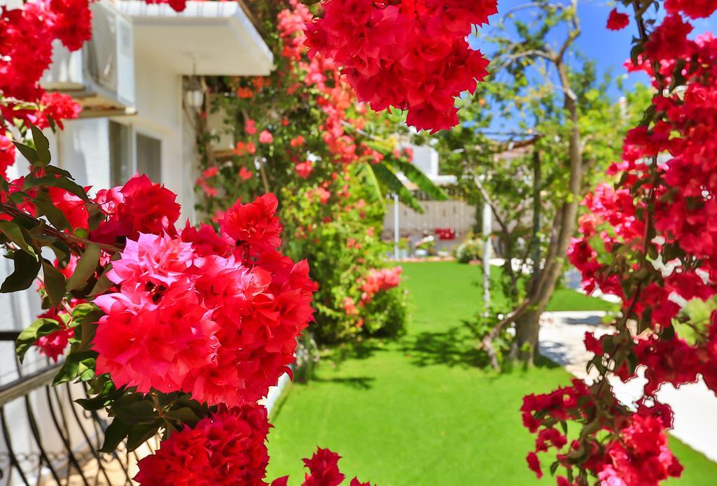 Kiraz Butik Hotel Алачати Экстерьер фото